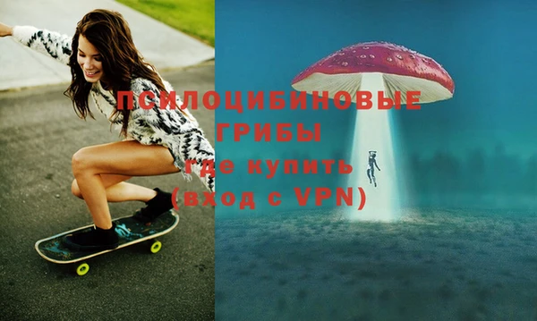 Альфа ПВП Алзамай
