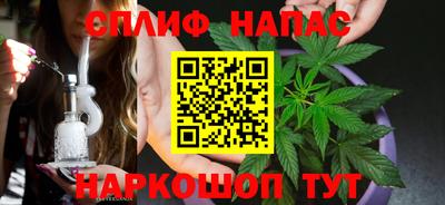 стаф Бердск