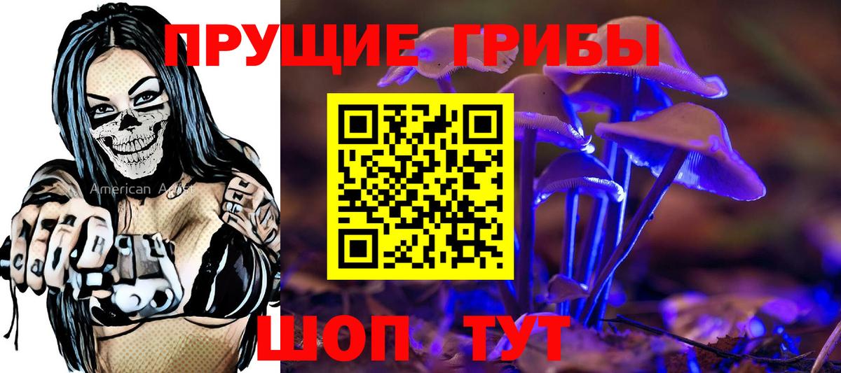 Галлюциногенные грибы мицелий Большой Камень